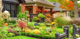 How To Improve Curb Appeal With Window Boxes & Planters