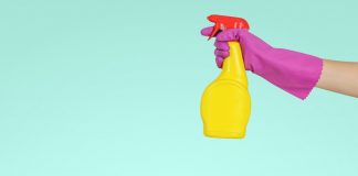 Pest-proofing tips that will increase your home's value