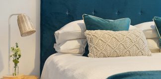 Have a Bedbug Problem? Here’s the Solution