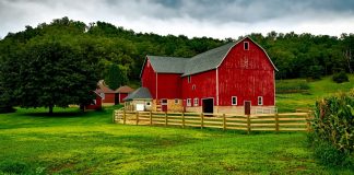 The New Millennial Trend: Barn Style Homes