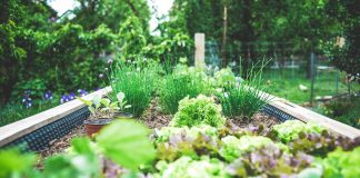 Making The Foundations For A Fantastic Green Space