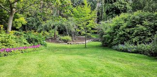7 Tips for Heat-Proofing Your Yard