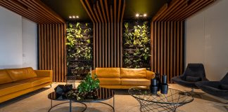 Why Lighting is The Most Important Design