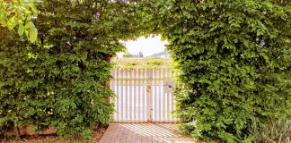 How to Create a Sense of Privacy in Your Yard
