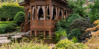 7 Tips to Make a Garden Come to Life