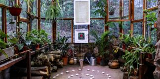 7 Reasons to Build a Garden Room on Your Property