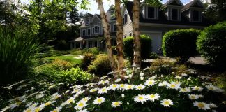 Unique Garden Design Tips For Homeowners