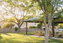 Why You Should Consider Remodeling Your Backyard
