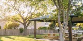 Why You Should Consider Remodeling Your Backyard