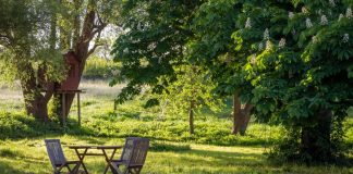 10 Ways to Make a Bigger and Wilder Garden