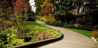 How To Care For Your Perennials