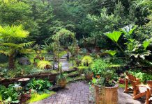 8 Backyard Patio Ideas for Creating Your Own Personal Oasis