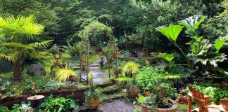 8 Backyard Patio Ideas for Creating Your Own Personal Oasis