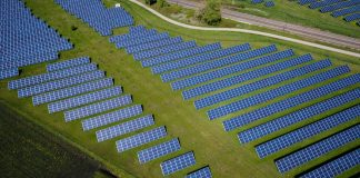 How to Reduce Your Carbon Footprint