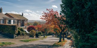 Canada Invests in Energy-Efficient Homes 